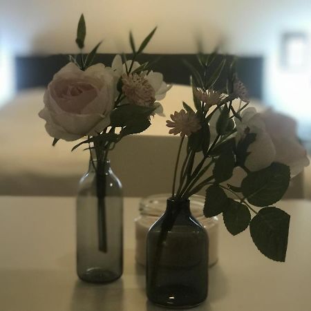 Tiny Apartment Spring دريسدن المظهر الخارجي الصورة