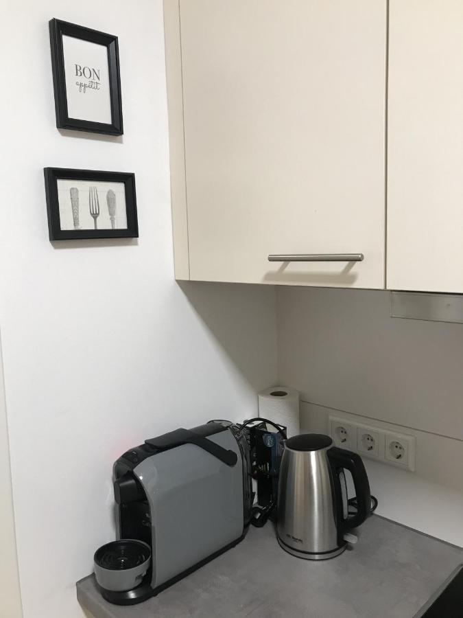 Tiny Apartment Spring دريسدن المظهر الخارجي الصورة