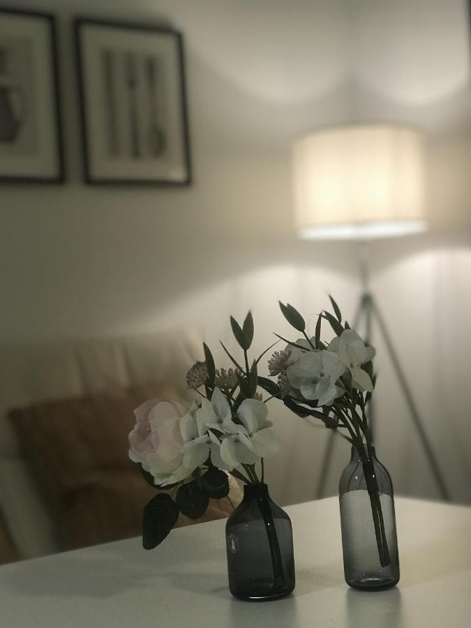 Tiny Apartment Spring دريسدن المظهر الخارجي الصورة