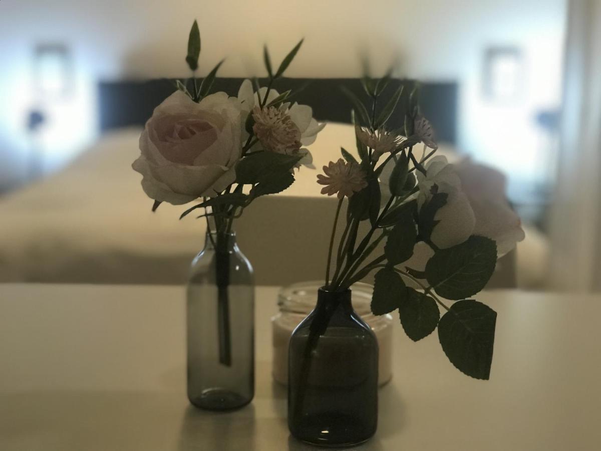 Tiny Apartment Spring دريسدن المظهر الخارجي الصورة